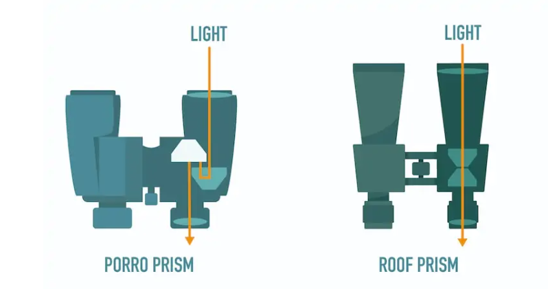 info-798-421 info-798-421